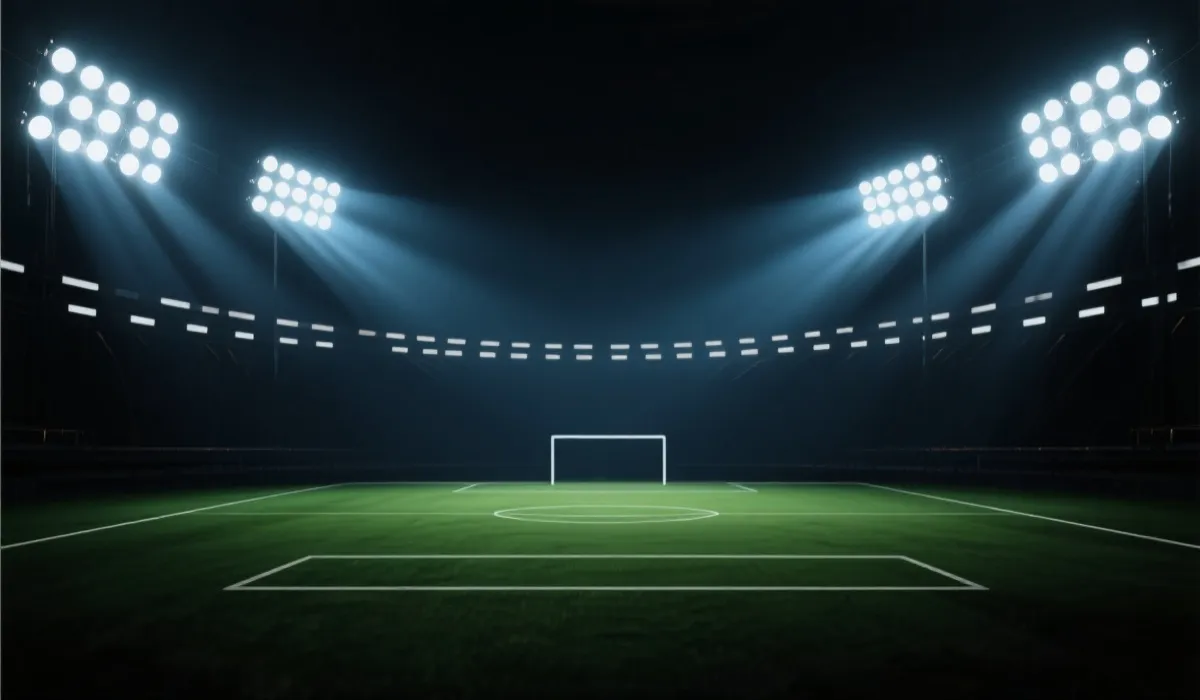 观赛氛围示意图